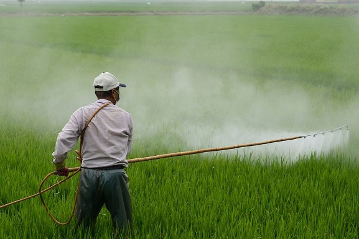 Why are pesticides so dangerous for farmers?