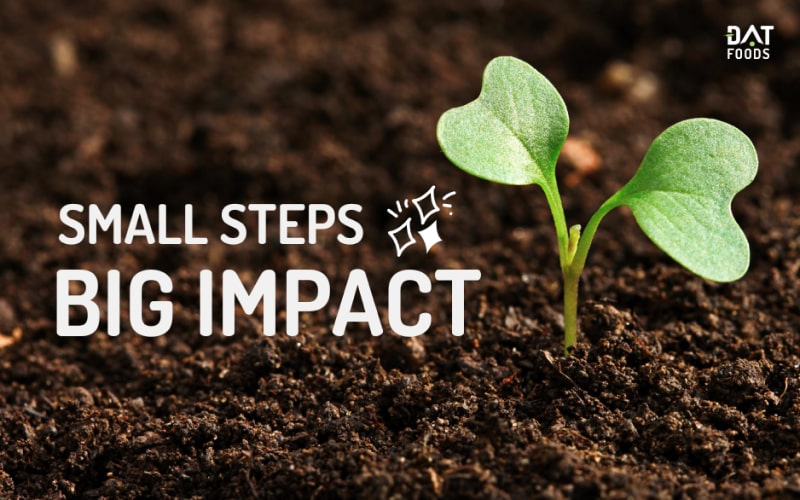 Earth Day Activities - Small Steps, Big Impact