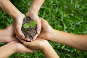 Non-GMO: The Health and Environmental Benefits