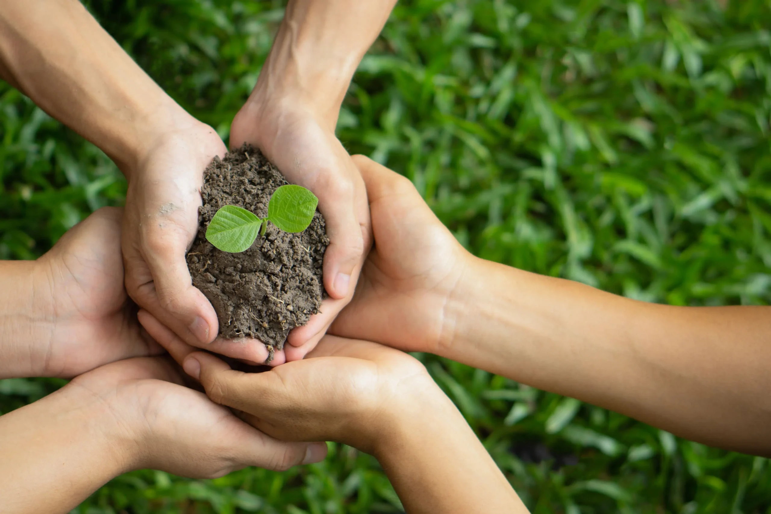 Non-GMO: The Health and Environmental Benefits